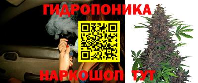 герыч Славянск-на-Кубани