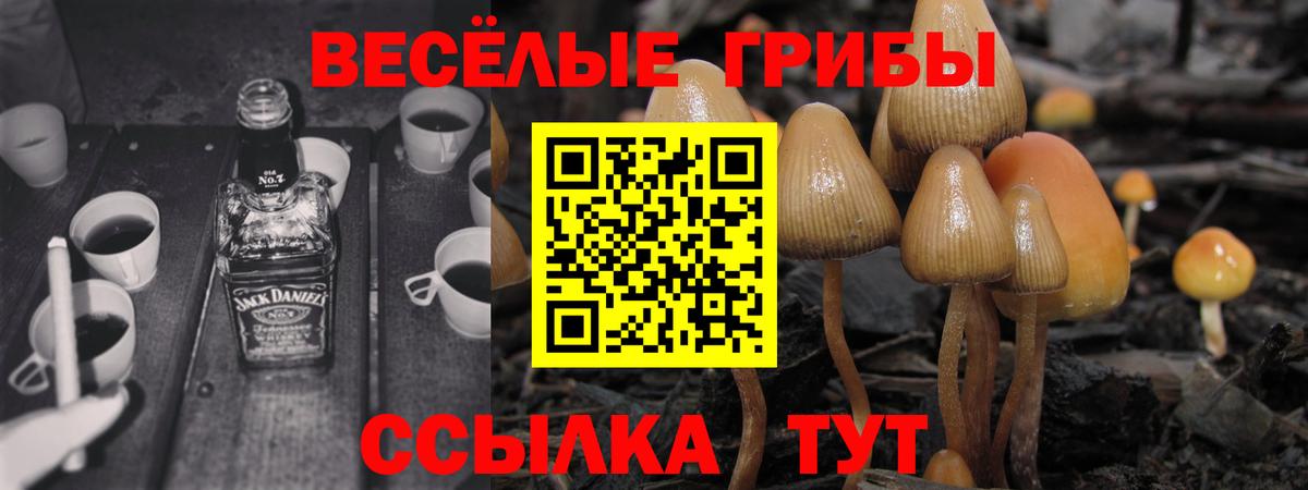 Галлюциногенные грибы прущие грибы  Вход с VPN  Апатиты 