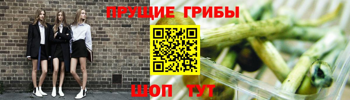Галлюциногенные грибы ЛСД Апатиты